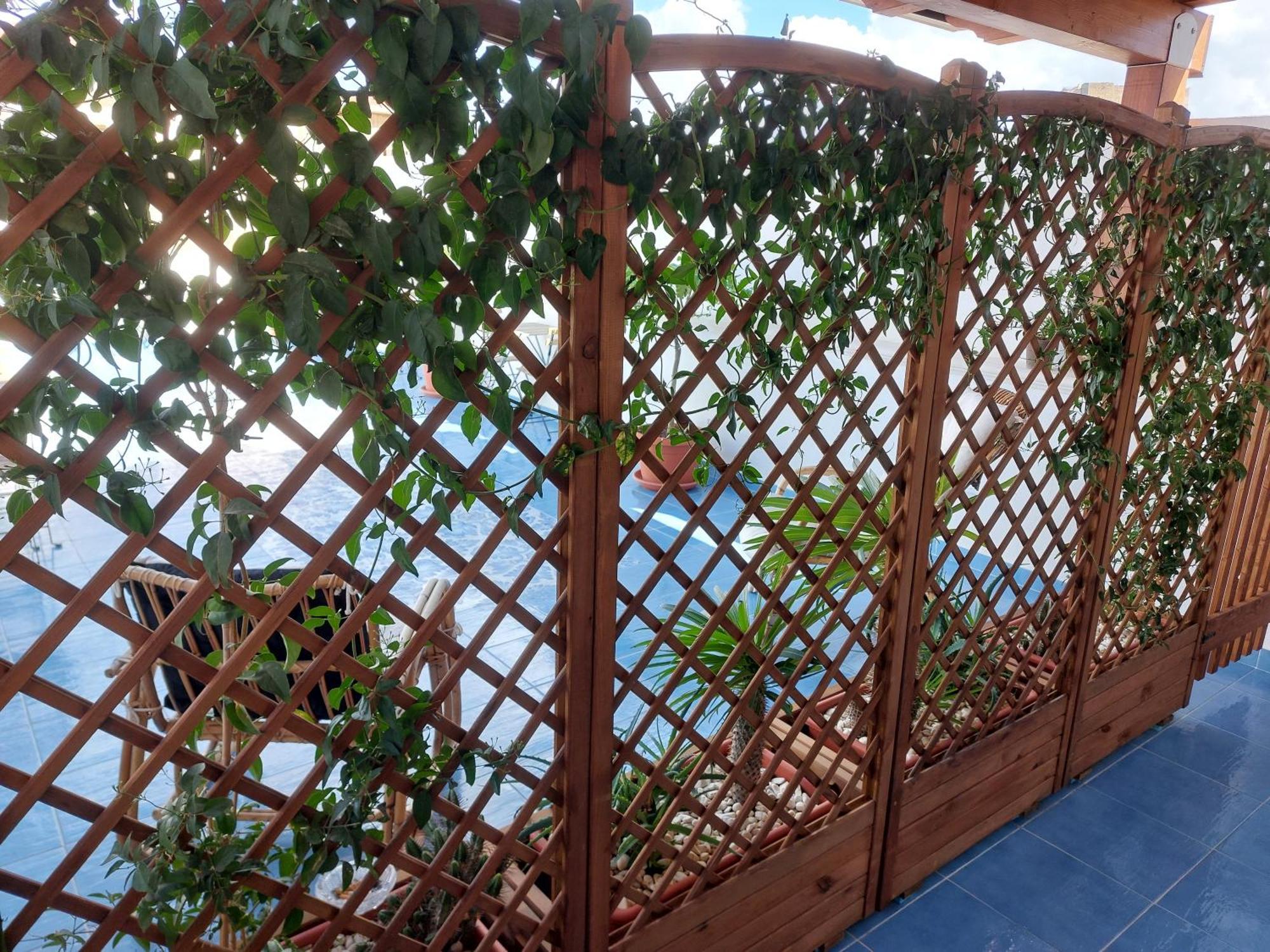 B&B La Filanda Scilla Cameră foto